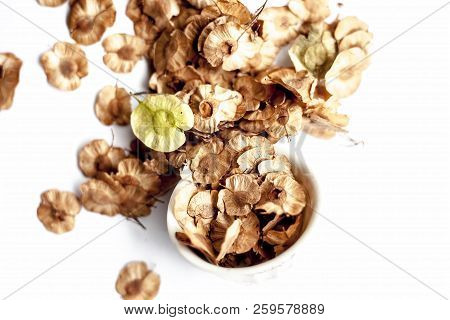 Close Up Of Dried Leaves Of Pipado, Or Pipadi, Or Indian Rosewood Or Pippala Tree Or Sacred Fig Or F