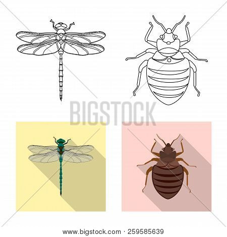 Isolated Object Of Insect And Fly Symbol. Collection Of Insect And Element Stock Symbol For Web.
