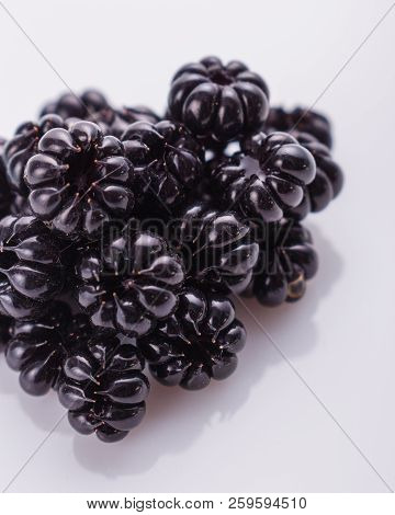Phytolacca Americana On A White Acrylic Background