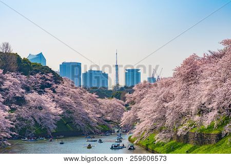Cherry Blossoms Around Chidorigafuchi Park, Tokyo, Japan.

The Northernmost Part Of Edo Castle Is No