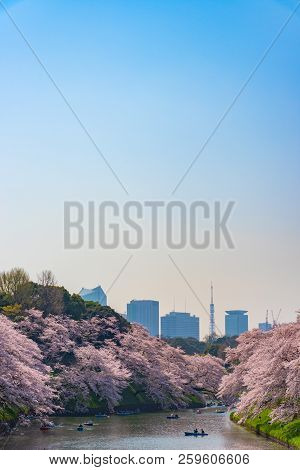 Cherry Blossoms Around Chidorigafuchi Park, Tokyo, Japan.

The Northernmost Part Of Edo Castle Is No