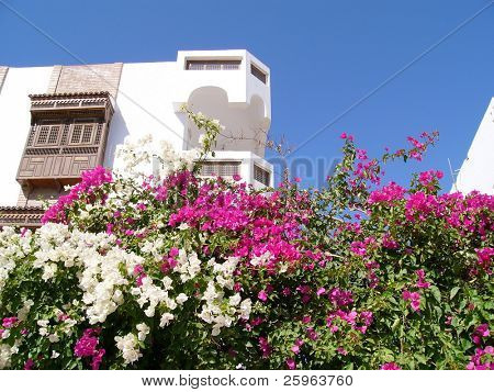 Hotell i Egypten med fina blommor