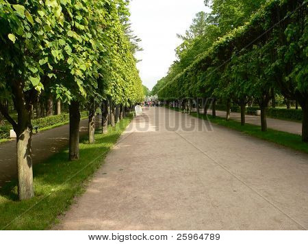 Avenue i Peterhof, St.Petersburg, Ryssland