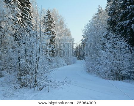 Winter-Straße durch Holz