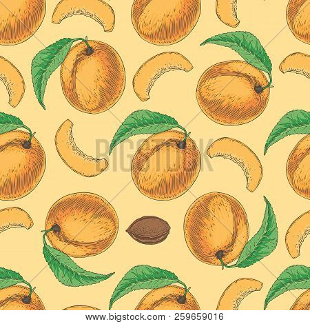 Seamless Vector Pattern With Ripe Apricot And Kernels On A Light Background