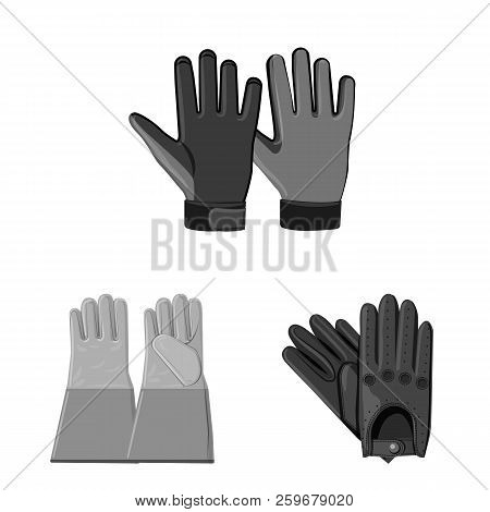 Vector Design Of Glove And Winter Sign. Collection Of Glove And Equipment Stock Vector Illustration.