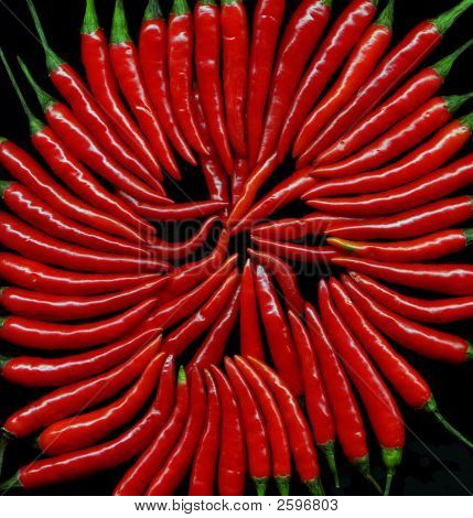 Chily červené papriky