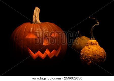 Halloween Pumpkin Shiny From, Food, Vegetables, Fall