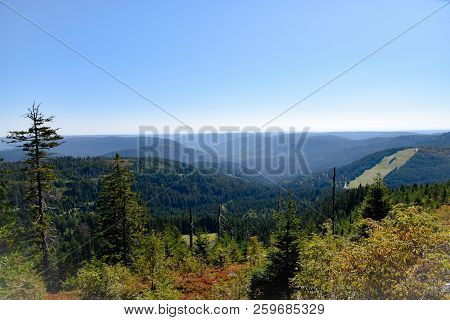 Beautiful Black Forest In Germany Baden Wuerttemberg
