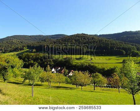 Beautiful Black Forest In Germany Baden Wuerttemberg