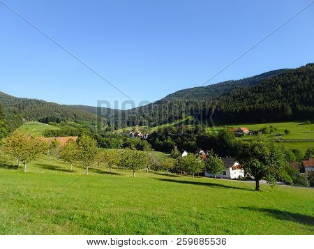 Beautiful Black Forest In Germany Baden Wuerttemberg