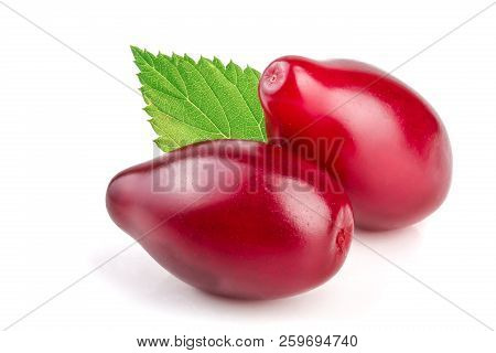 Red Berries Of Cornel Or Dogwood With Leaf Isolated On White Background
