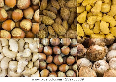 Bright Blocks Many Grains Of Nuts Almond Brown Untreated Hazelnut Whole Coconut Set Of Various Snack