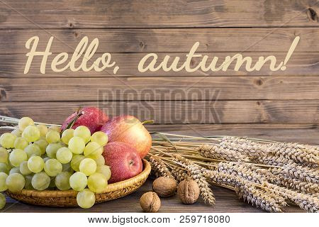 Fall Harvest Close Up Colorful Frame Or Banner