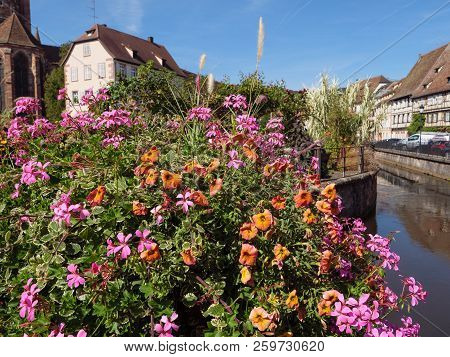 the City of wissembourg in the French alsace