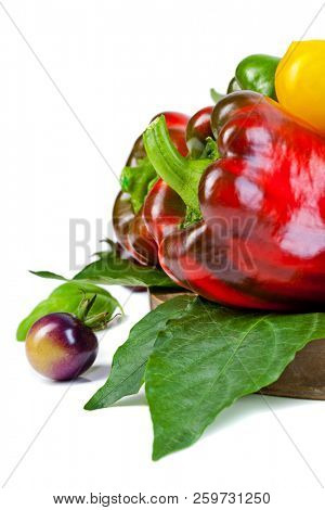 Assorted tomatoes and vegetables isolated on white background. Photo for your design.