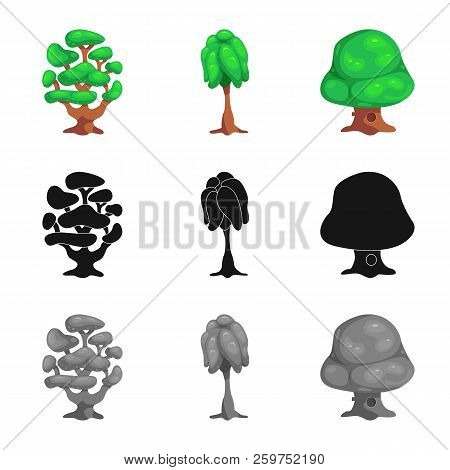 Vector Illustration Of Tree And Nature Icon. Set Of Tree And Crown Vector Icon For Stock.