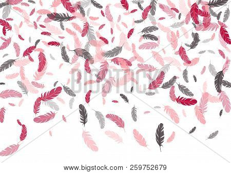 Feather Ethnic Background Vector Print.  Simple Background With Plumelet. Flying Feather Elements Cu