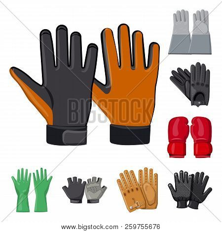 Vector Design Of Glove And Winter Symbol. Set Of Glove And Equipment Vector Icon For Stock.