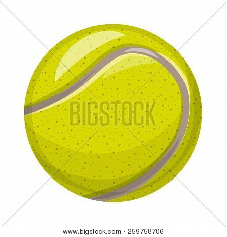 Vector Illustration Of Sport And Ball Symbol. Set Of Sport And Athletic Vector Icon For Stock.