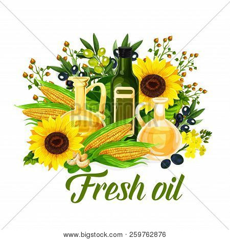 Oil Bottle With Natural Vegetable Ingredients. Black And Green Olive Fruit, Corn And Sunflower, Colz