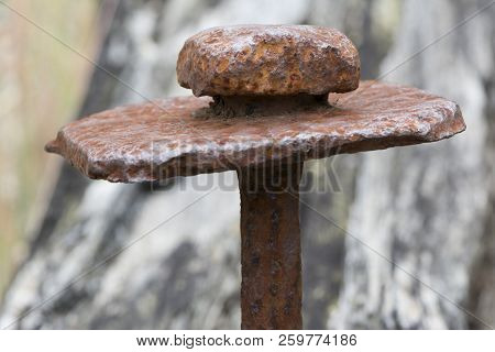 Old Rusting Metal Stake Wedged Into An Old Railway Sleeper Found At An Old Mine Site. Very Shallow D