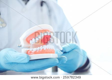 Dentist Learning How To Brush Teeth Concept