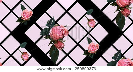 Floral Seamless Background Pattern With Gride. Watercolor Pink Garden Roses In Hand Drawn Style. Ele