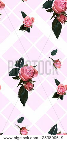 Floral Seamless Background Patternwith Gride. Watercolor Pink Garden Roses In Hand Drawn Style. Eleg