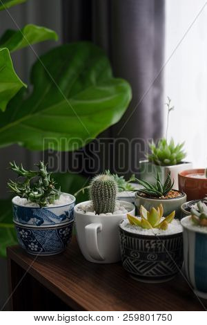 Cactus In A Beautifully Decorated Pot On Table.