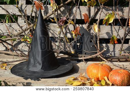 Hat Of Witch On With A Pumpkin For Halloween