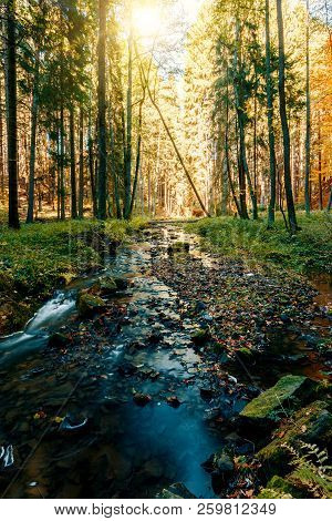 Wild River Doubrava, Autumn Landscape