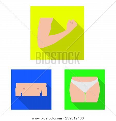 Isolated Object Of Human And Part Sign. Set Of Human And Woman Vector Icon For Stock.