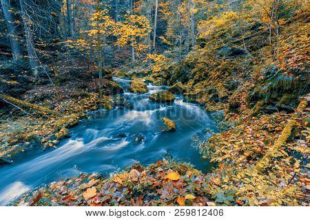 Wild River Doubrava, Autumn Landscape