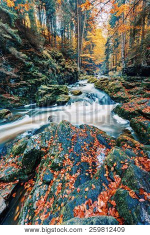 Wild River Doubrava, Autumn Landscape