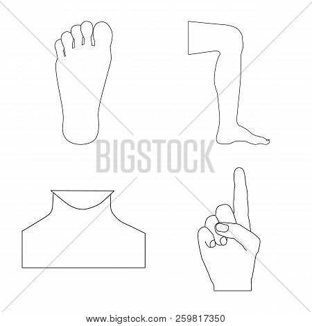 Isolated Object Of Human And Part Icon. Collection Of Human And Woman Stock Symbol For Web.