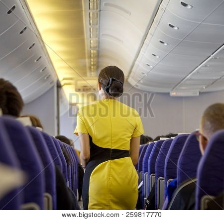 Flying Attendants ,air Hostess