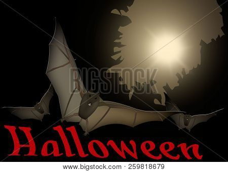 Halloween Card. Bats At Night On Moon Background. Illustration
