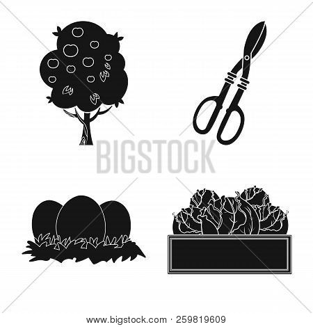 Vector Illustration Of Farm And Agriculture Icon. Collection Of Farm And Plant Stock Vector Illustra