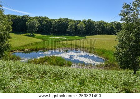 Charming Pond In The Picturesque Park At Malcantone Valley On Switzerland