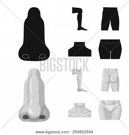 Vector Design Of Human And Part Symbol. Collection Of Human And Woman Stock Symbol For Web.