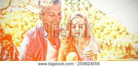 Happy Father and daughter blowing bubble with bubble wand at picnic in park