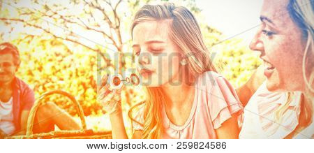 Mother and daughter blowing bubble with bubble wand at picnic in park