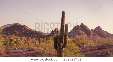  Arizona Papago Park peaking through to Camelback Mountain, Phoenix, Scottsdale Arizona area.