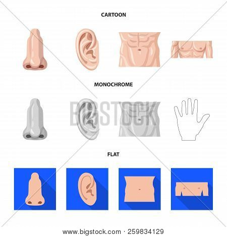 Vector Illustration Of Human And Part Icon. Set Of Human And Woman Stock Vector Illustration.