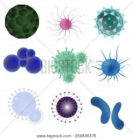 Isolated Realistic Vector Set Viruses And Bacteria. Viruses And Bacteria Under Microscope. Concept I