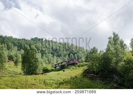 Low Angle View Of Wooden House And Green Plants In Mountains, Aurlandsfjord, Flam Aurlandsfjorden , 