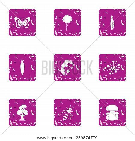 Resident Of Timber Icons Set. Grunge Set Of 9 Resident Of Timber Vector Icons For Web Isolated On Wh