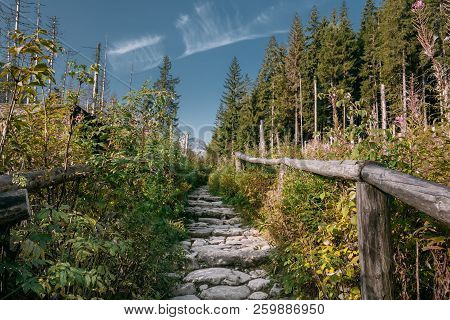 Tatra National Park, Poland. Hiking Trails In Summer Tatra Mount