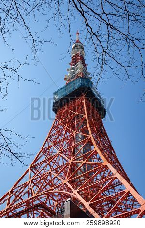Tokyo, Japan - 15 Feb 2018: Tokyo Tower Eiffel Replica Framed By Brunches And Low Angle At Daytime